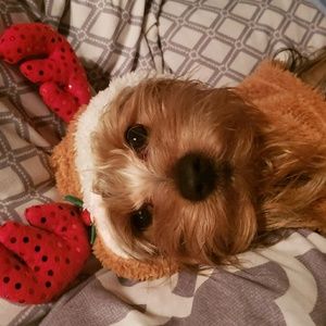 Meet your Posher, Erika